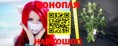 амф Будённовск