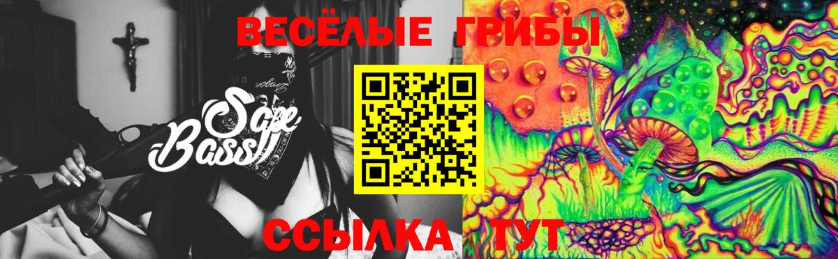 Стерлитамак  Галлюциногенные грибы MAGIC MUSHROOMS  Псилоцибиновые грибы GOLDEN TEACHER  Вход с VPN 